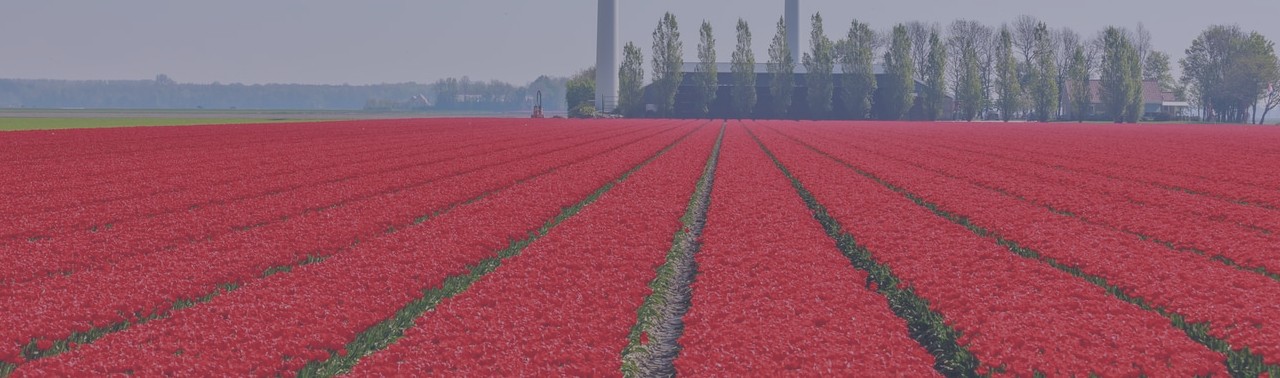 Mediator in Flevoland